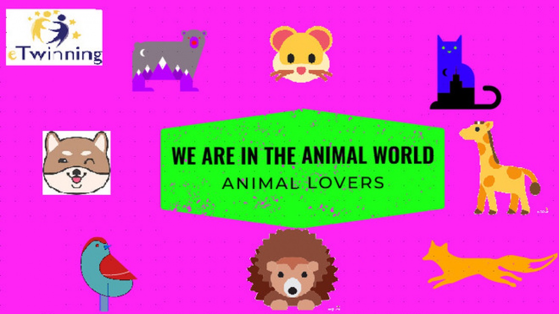 We are in the Animal World